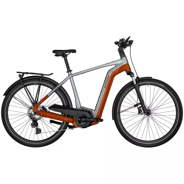 Vélo électrique Bergamont E-Horizon Edition LTD Gent